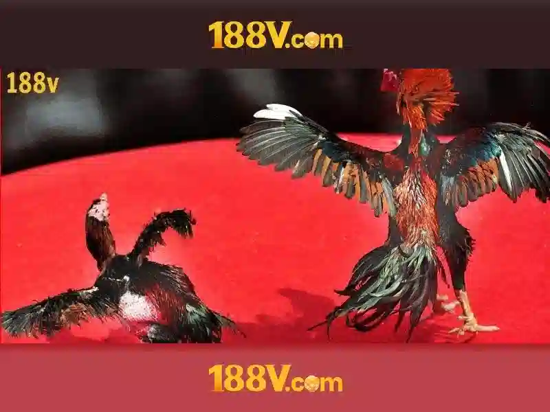 188v: Nền tảng và ý nghĩa của một ký hiệu công nghệ