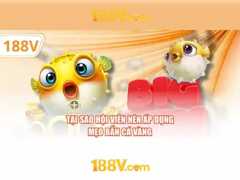 Ảnh hưởng và tầm nhìn tương lai