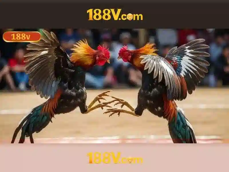 188v: hành trình khám phá một khái niệm dữ liệu và công nghệ