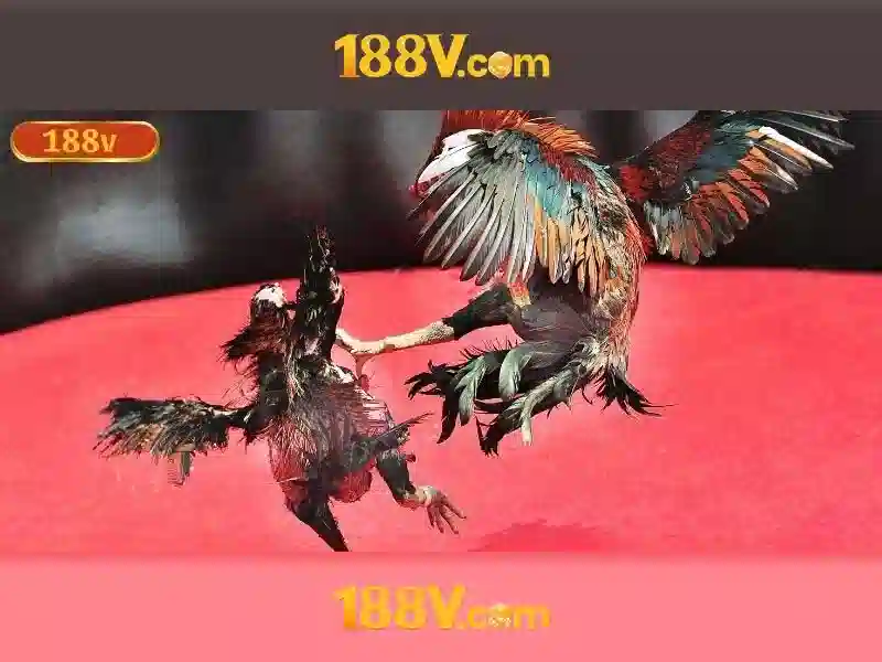 188v official – Tổng quan chủ đề và giá trị cốt lõi