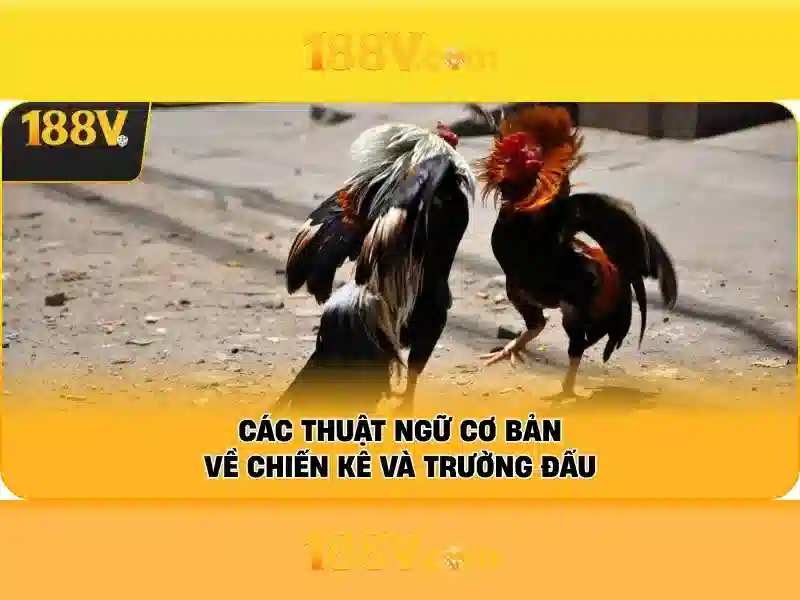 188v chính thức: Bản sắc thương hiệu và hành trình
