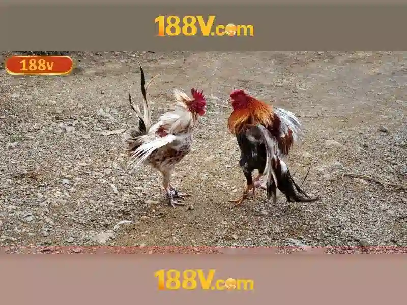 nguon goc va su menh cua slot 188v\n\n