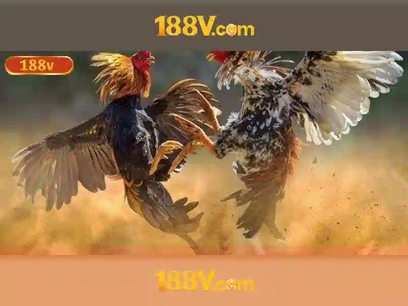 Phản hồi cạnh tranh 188v free