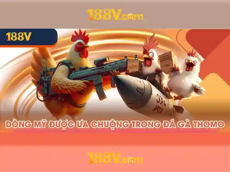 nhận thưởng 188v – Tổng quan chủ đề và giá trị cốt lõi