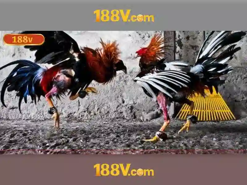 Khám phá 188v com tại app: trải nghiệm, đánh giá và an toàn