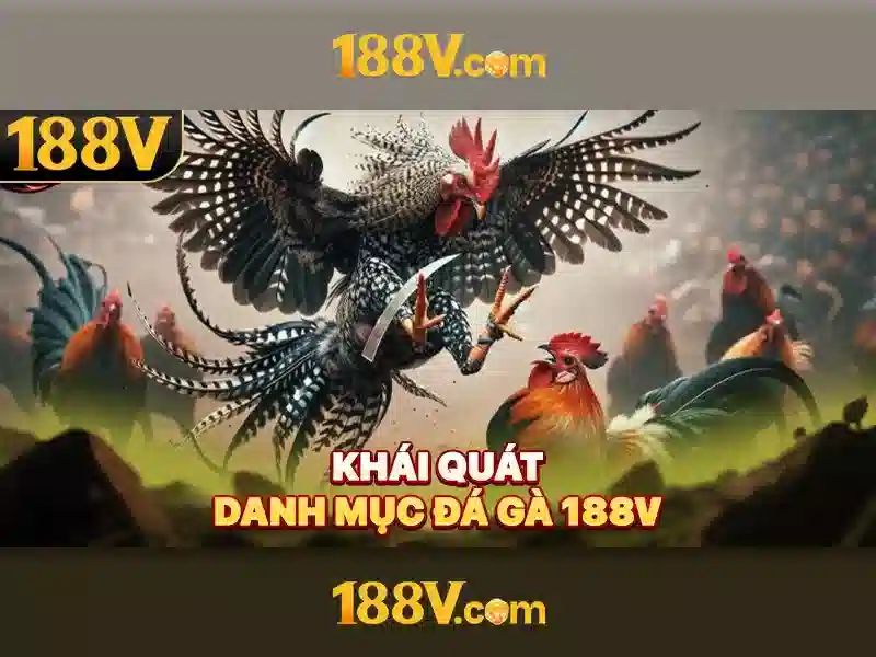 188v và hành trình thị giác