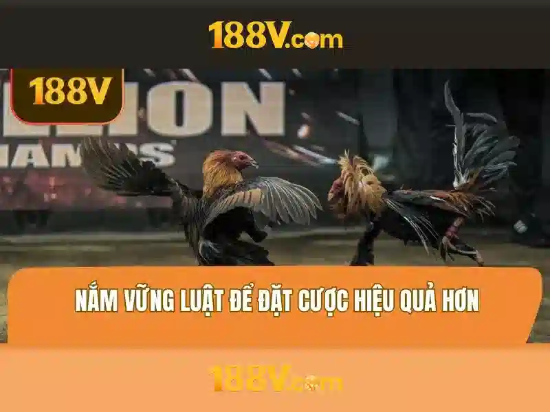 Khái niệm 188v và ứng dụng của nó