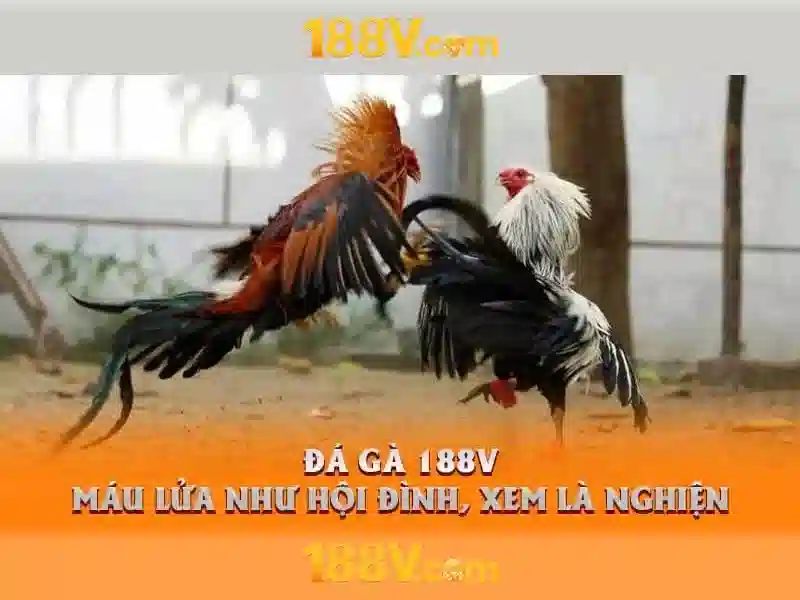 188V: Khái quát và tiềm năng