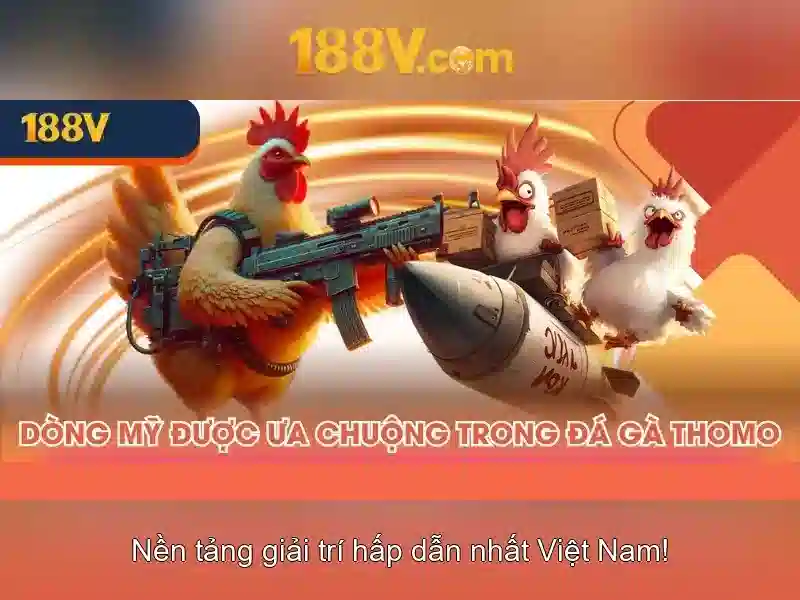 188v: một hành trình của năng lượng và sáng tạo