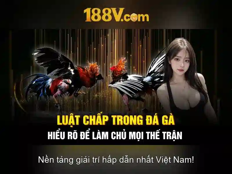 188v: khái niệm và ảnh hưởng trong thế giới số
