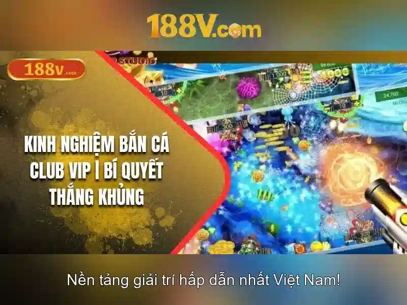 Câu chuyện và cảm hứng