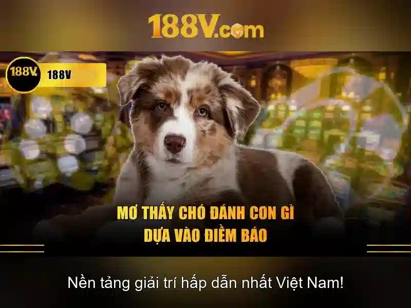 188V: Khái niệm, ứng dụng và an toàn với điện áp 188V