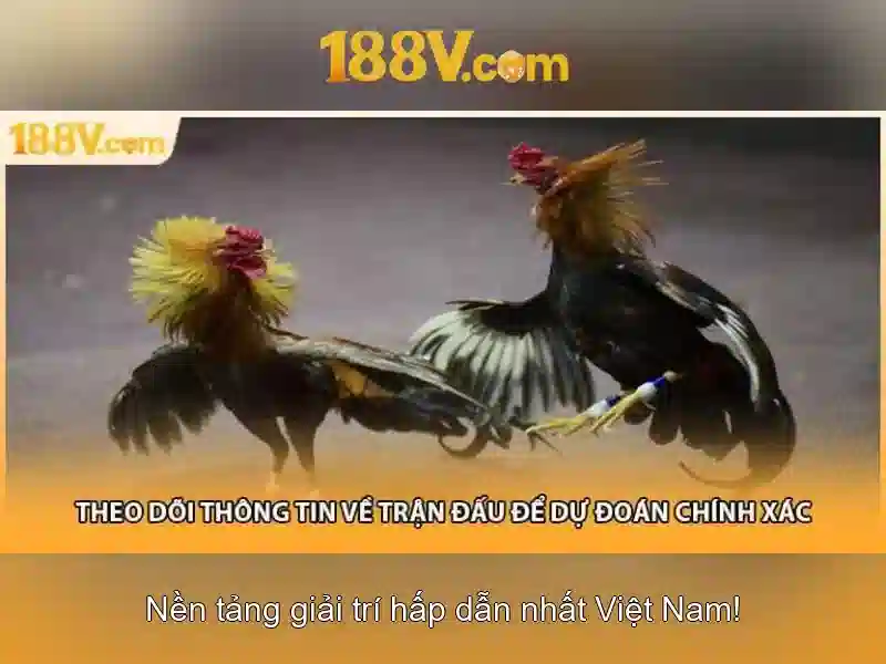 Ứng dụng và ảnh hưởng\n