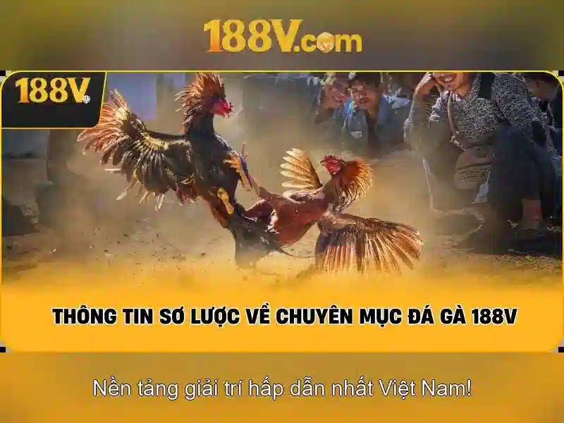 Khám phá 188v: hành trình giữa công nghệ và cảm xúc