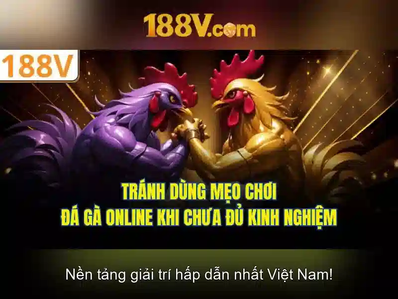 Khám phá 188v: một cuộc hành trình công nghệ và sáng tạo