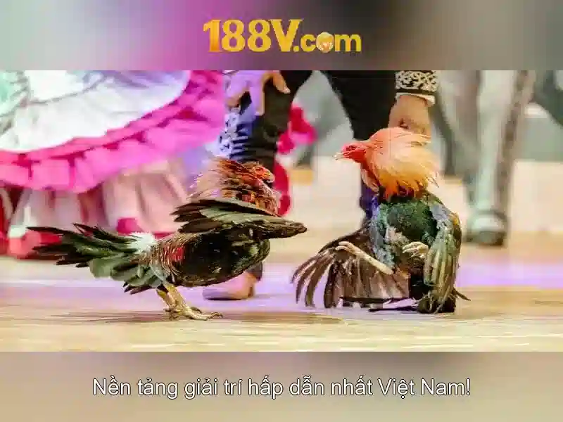 Giới thiệu về 188v\n