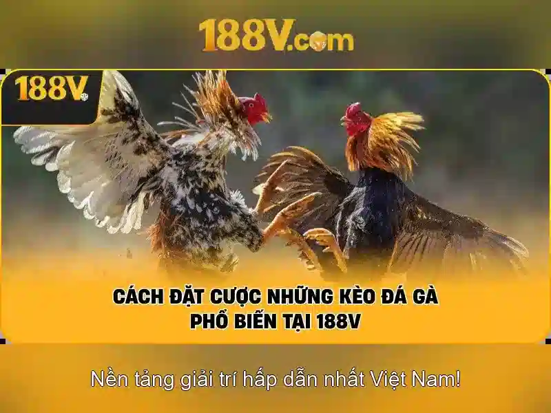 Ứng dụng trong nghệ thuật số và thiết kế