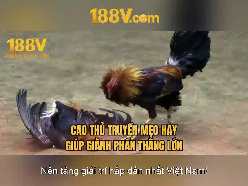 188v: một hành trình sáng tạo và công nghệ