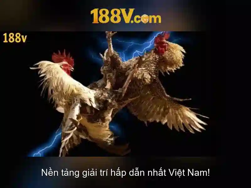 Quá trình hình thành