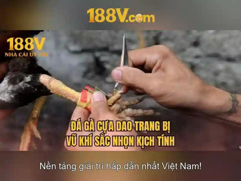 188V: Khái quát và tiềm năng