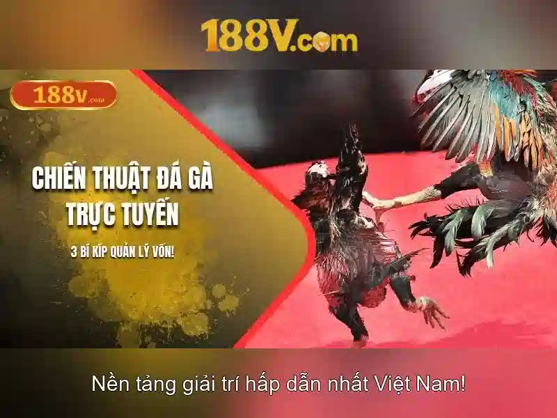 Ưu thế và năng lực cạnh tranh của link 188v